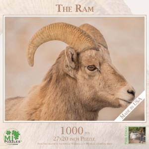 The Ram Monochromatic Impossible Puzzle By MI Puzzles