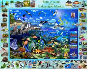 Galapagos Sea Life Jigsaw Puzzle By Vermont Christmas Company
