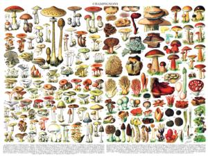 Mushrooms ~ Champignons Fruit & Vegetable Impossible Puzzle By New York Puzzle Co