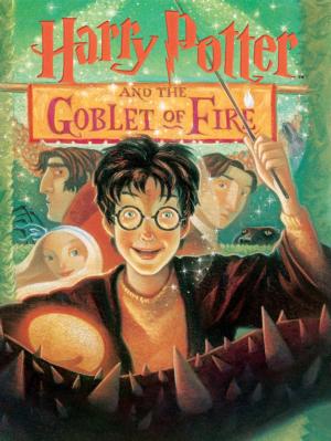Goblet of Fire Harry Potter Jigsaw Puzzle By New York Puzzle Co