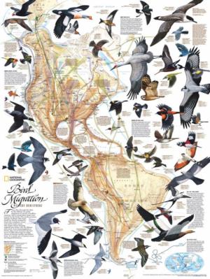 Bird Migration Magazines and Newspapers Jigsaw Puzzle By New York Puzzle Co