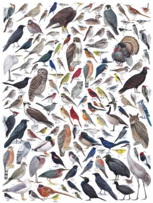 Birds of Eastern/Central North America Birds Jigsaw Puzzle By New York Puzzle Co