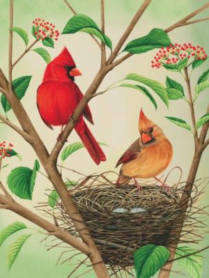 Northern Cardinals Birds Jigsaw Puzzle By New York Puzzle Co