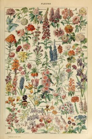 Assorted Flowers Flower & Garden Jigsaw Puzzle By Lantern Press