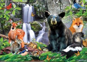 Shenandoah National Parks Jigsaw Puzzle By MasterPieces