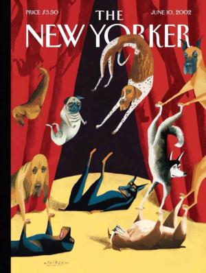 Dog Show Magazines and Newspapers Jigsaw Puzzle By New York Puzzle Co