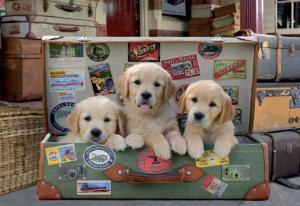Puppies in the Luggage Dogs Jigsaw Puzzle By Educa