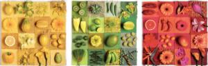 Exotic Fruits and Flowers Fruit & Vegetable Multi-Pack By Educa