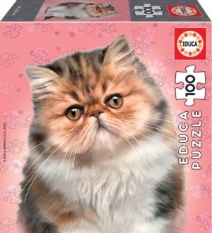 Geotoys - Magnetic Puzzle Cats