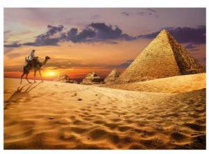 Camel In The Desert  Landscape Jigsaw Puzzle By Educa
