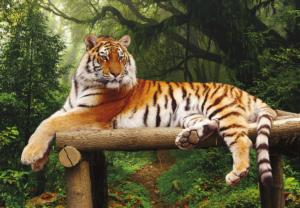 Majestic Tiger Big Cats Jigsaw Puzzle By Turner