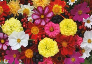 Fantastic Florals Flower & Garden Jigsaw Puzzle By Turner