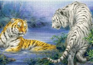 First Encounter Big Cats Jigsaw Puzzle By Puzzlelife