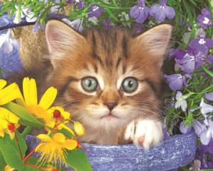 Garden Helper Cats Children's Puzzles By Springbok