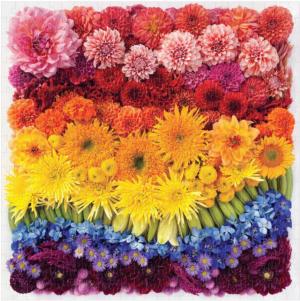 Rainbow Summer Flowers Rainbow & Gradient Jigsaw Puzzle By Galison