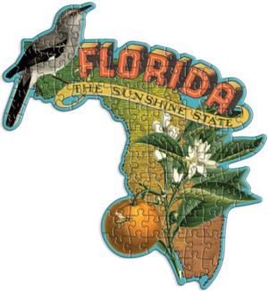 Florida Mini Shaped Puzzle United States Jigsaw Puzzle By Galison