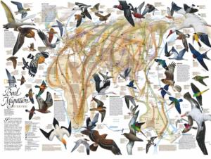 Eastern Bird Migration Maps & Geography Jigsaw Puzzle By New York Puzzle Co