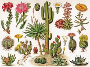 Cacti - Cactus Flower & Garden Jigsaw Puzzle By New York Puzzle Co
